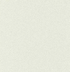 Solid Ivory White Frosted Light 1