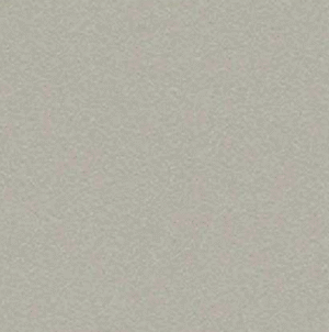 Solid Latte Frosted Light 2