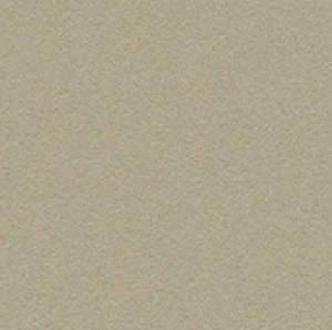 Solid Wall Beige Frosted Mid 26