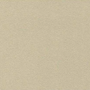 Solid Sand Beige Frosted Light 3