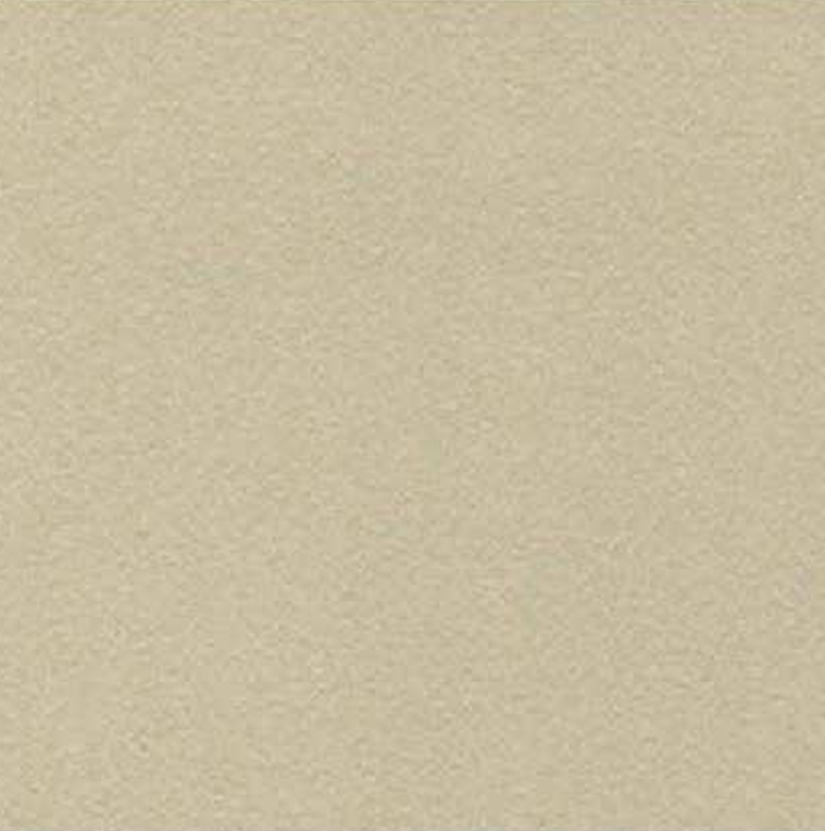 Solid Sand Beige Frosted Light 3