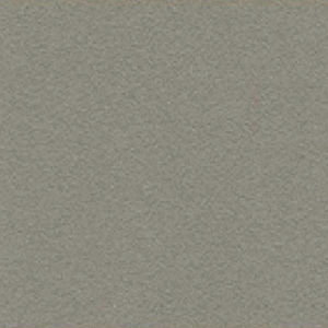 Solid Taupe Frosted Mid 6