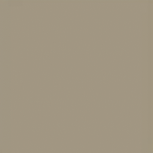 Reflective Taupe Mid 6