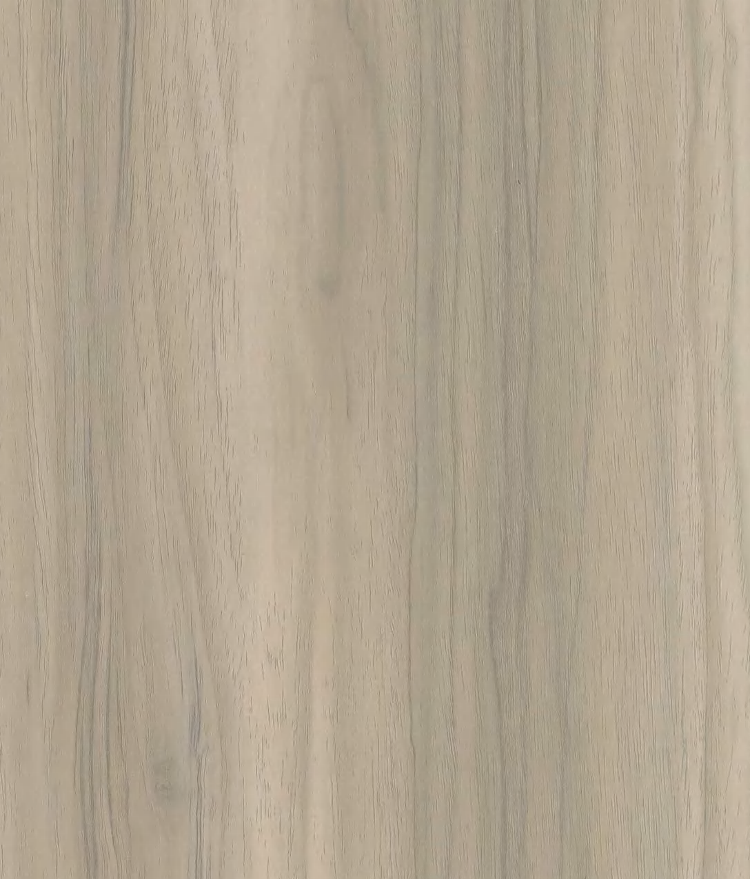 Wood Hamburg Driftwood Light 10