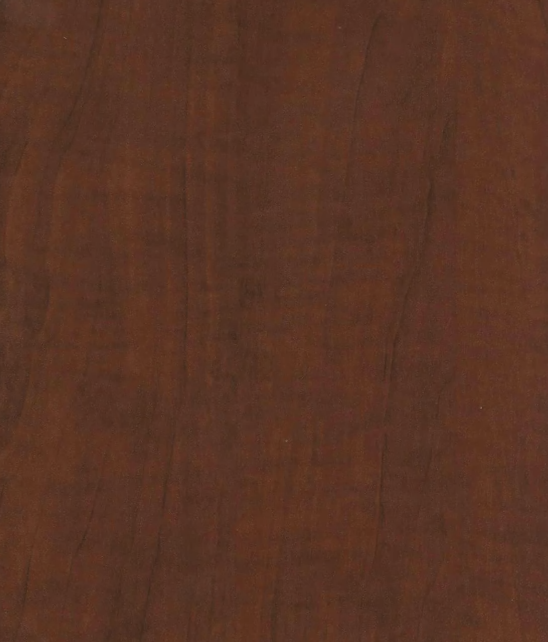 Wood Santiago Redwood Dark 13